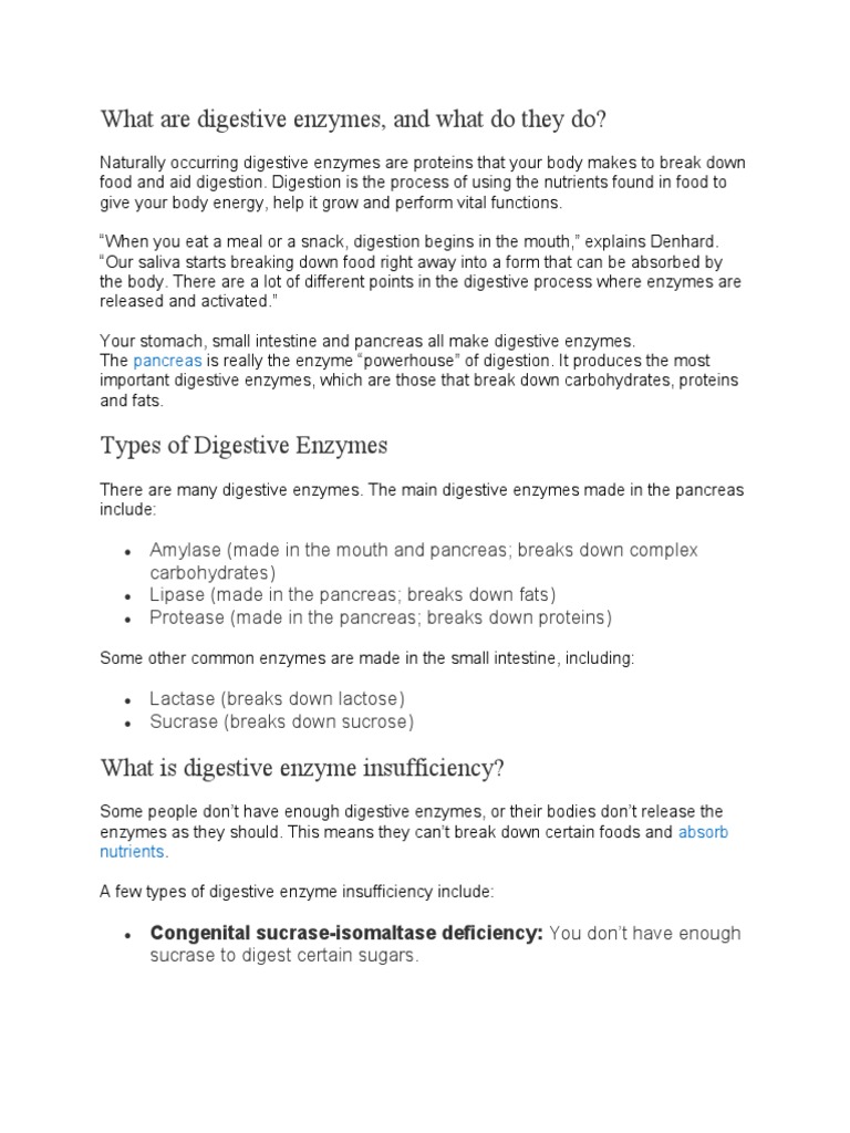 What Are Digestive Enzymes PDF Digestion Pancreas