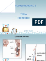 Hidrocele y Clasificacion