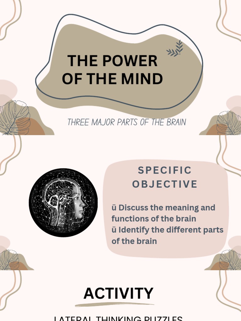 Parts of The Brain | PDF