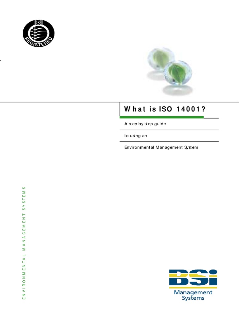whatis-iso14001-pdf-iso-9000-environmental-resource-management