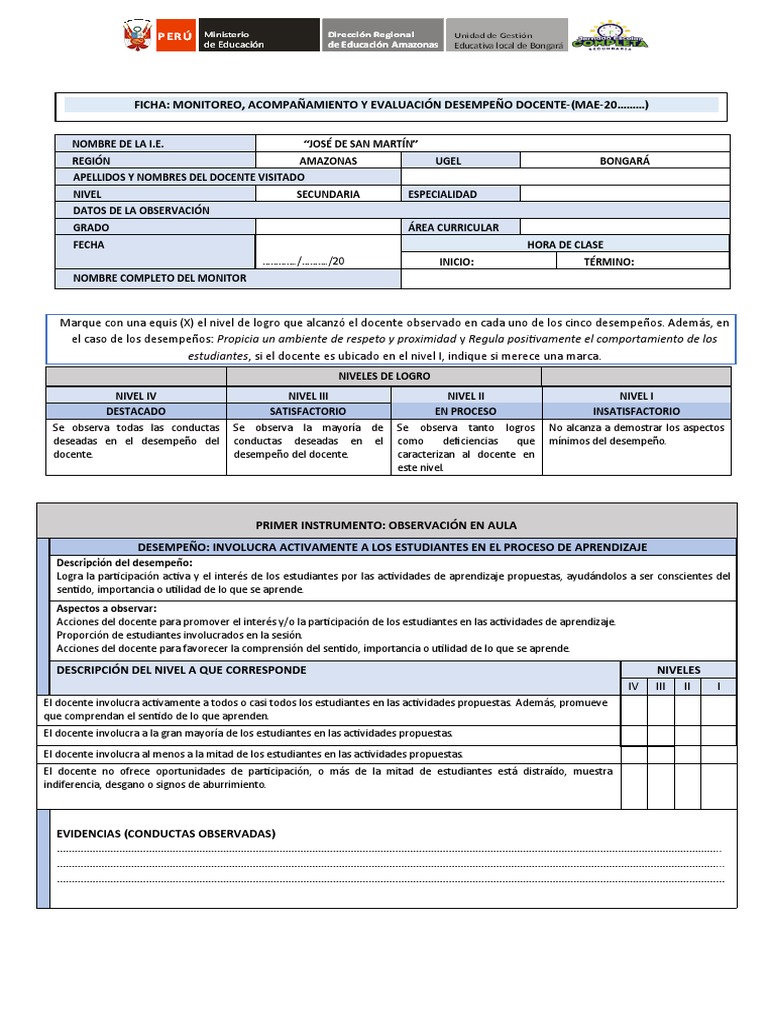 Ficha de Monitoreo Docente | PDF | Evaluación | Aprendizaje