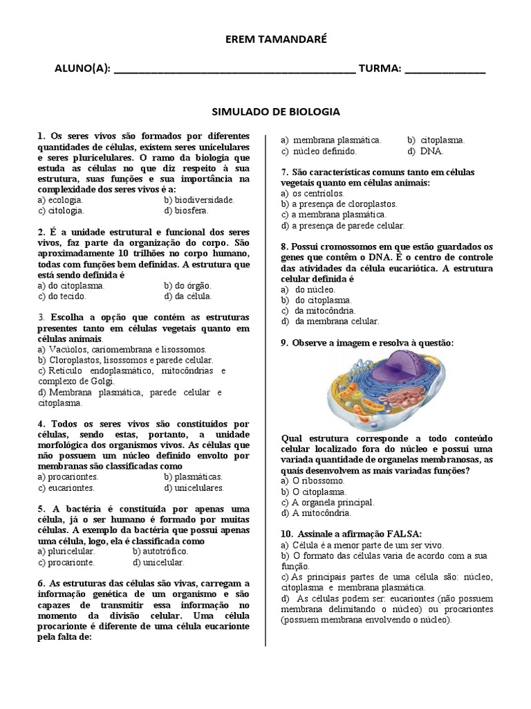 Unicelulares, o que são? Definição, principais características e exemplos, image size:768x1024