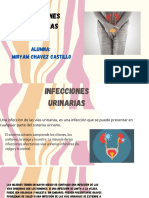 Infecciones Urinarias - Miryam Chavez