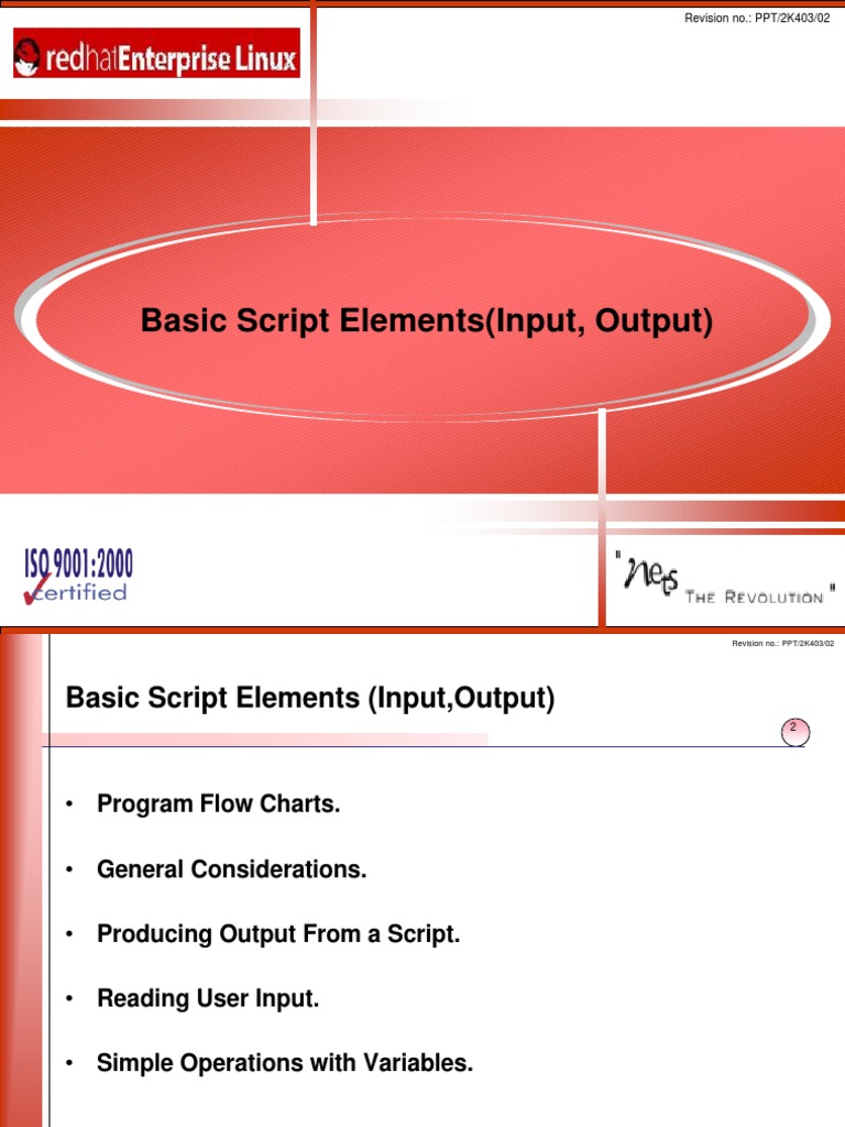 09 Basic Script Elements (Input | PDF