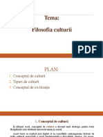 Tema 9 Filosofia Culturii