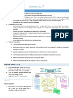 PED16 Control Día 7