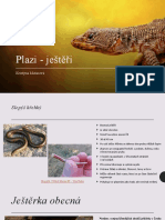 Plazi - Ještěři