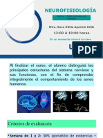 Presentación Neurofisiología