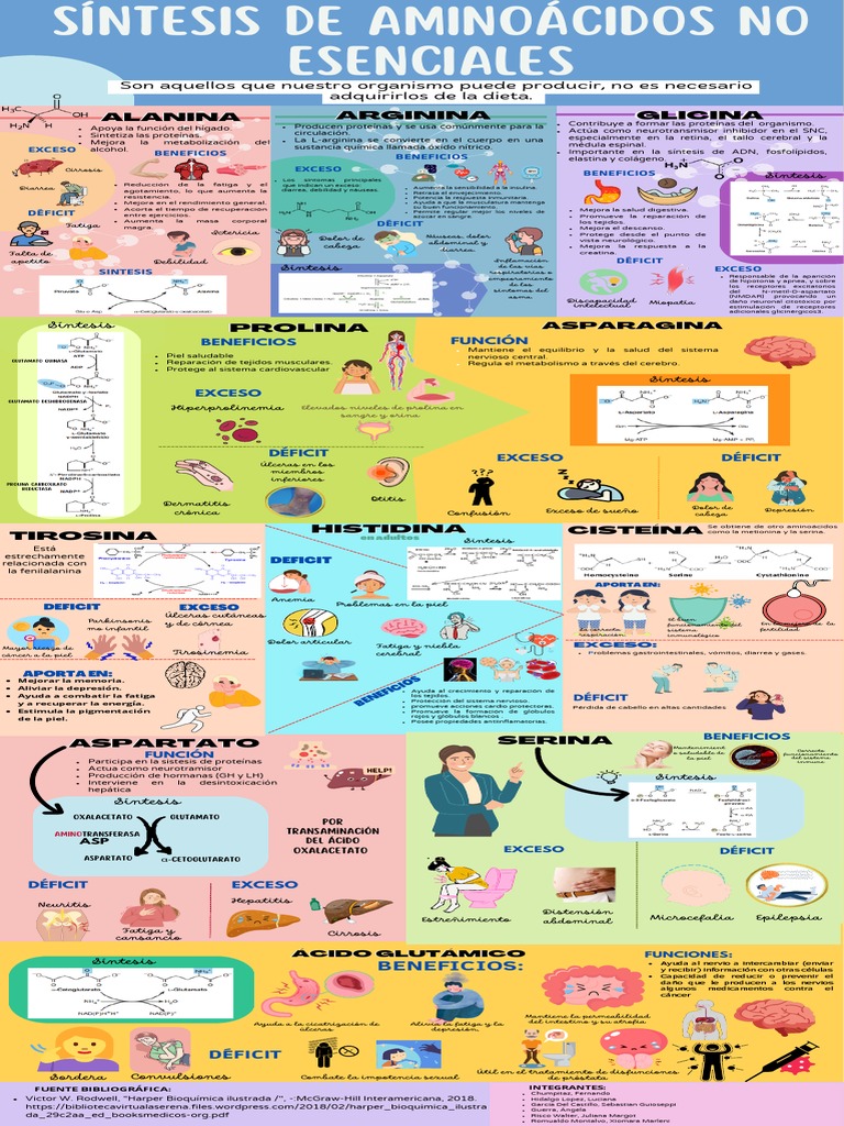 Síntesis de Aminoácidos No Esenciales PDF