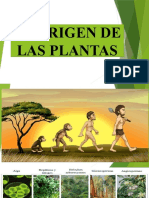 Origen de Las Plamntas