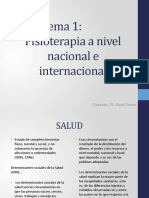 Fisioterapia A Nivel Nacional e Internacional