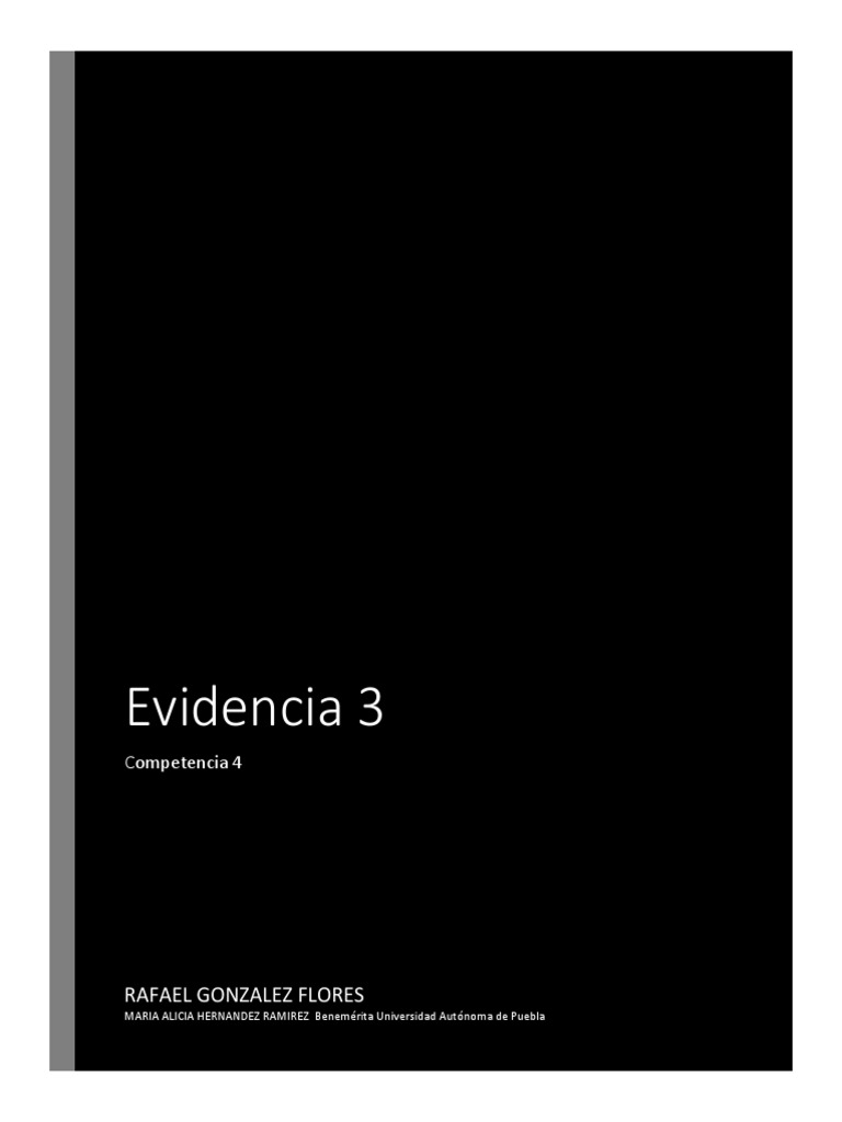 Evidencia 3 Rafael Gonzalez Flores | PDF