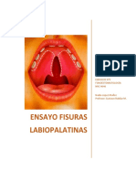 Ejercicio2 Fonoestomatologia Nadialopez