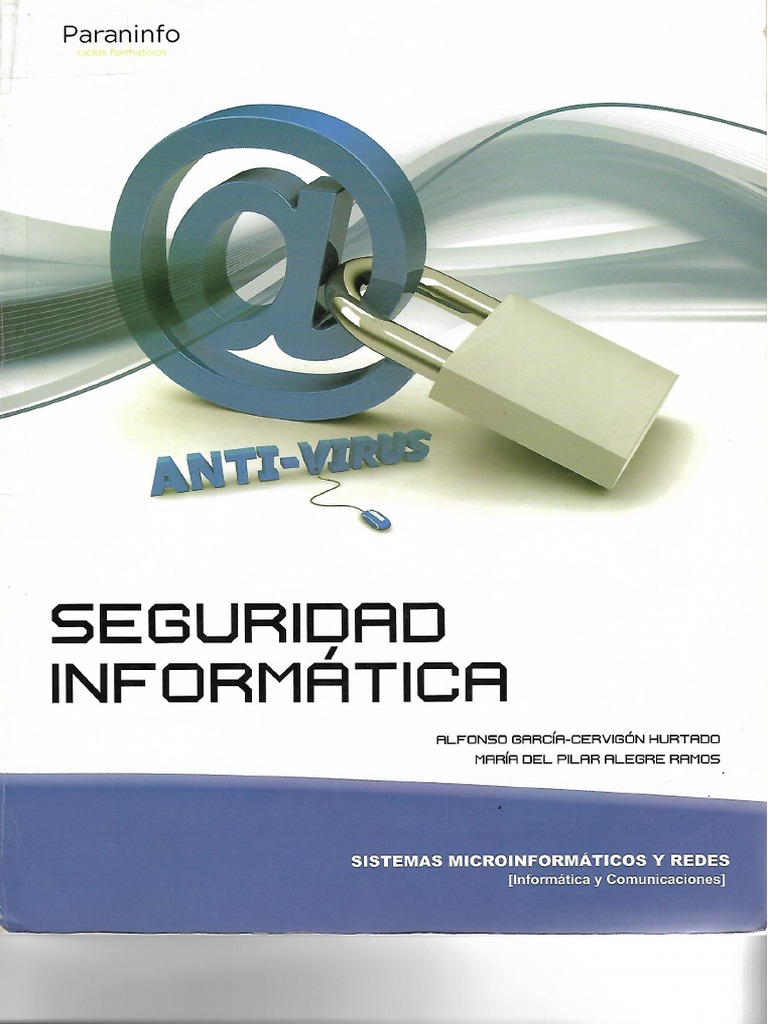 Seguridad Informática Pdf