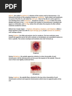 Lab 7 Mitosis Lab