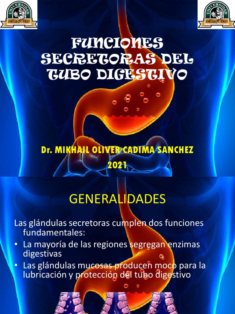 2.2. FUNCIONES SECRETORAS DEL TUBO DIGESTIVO Dr. Cadima | PDF | Bilis ...