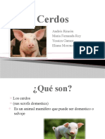 Cerdos
