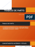 Trabajo de Parto