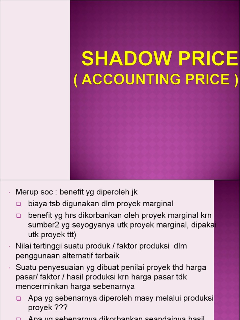 Shadow Price | PDF