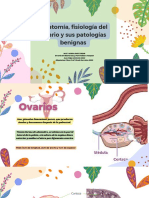 AnatomÃ A, Fisiologã A Del Ovario y Sus Patologã As Benignas