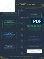 Infografia Flujo de Caja