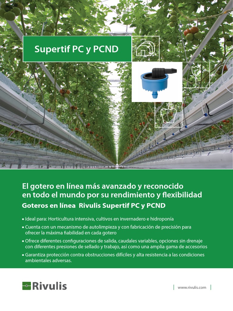 Rivulis Supertif PDF