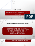 Sintesis Gestion Por Competencias y Talentos