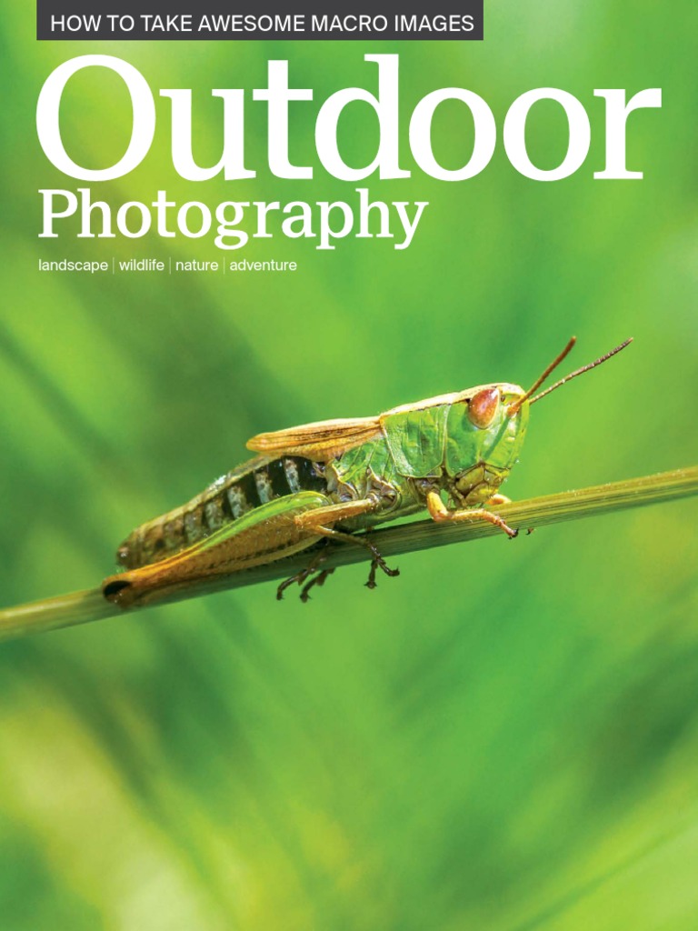 Mastering Macro Photography Techniques | PDF | Canon Eos | Digital ...