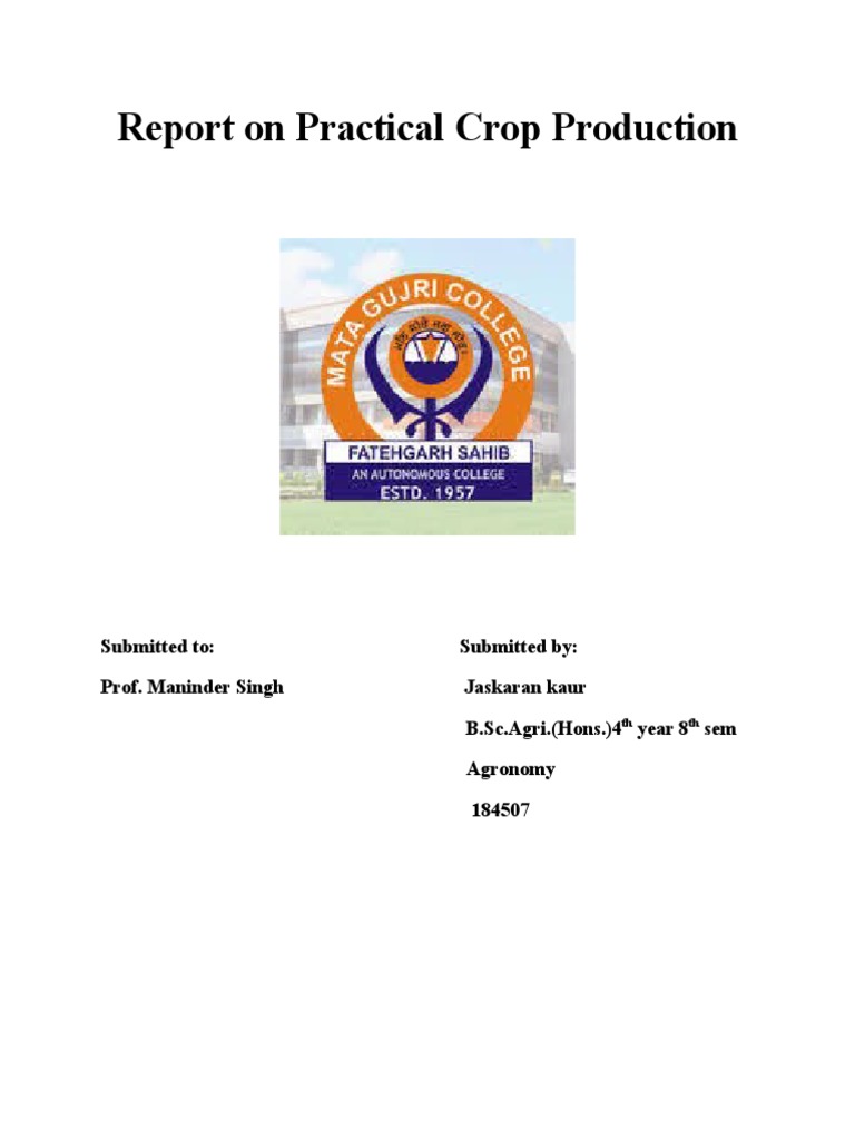 Practical Lentil Crop Production Report | PDF | Lentil | Sowing