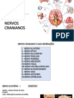 Pares de Nervos Cranianos