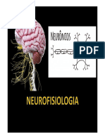 Neurofisiologia