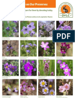 Wildflower Guide 05 1