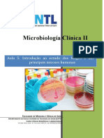 Microbiología Clínica II Aula # 5 Introdução ao estudo dos fungos e das principais micoses humanas