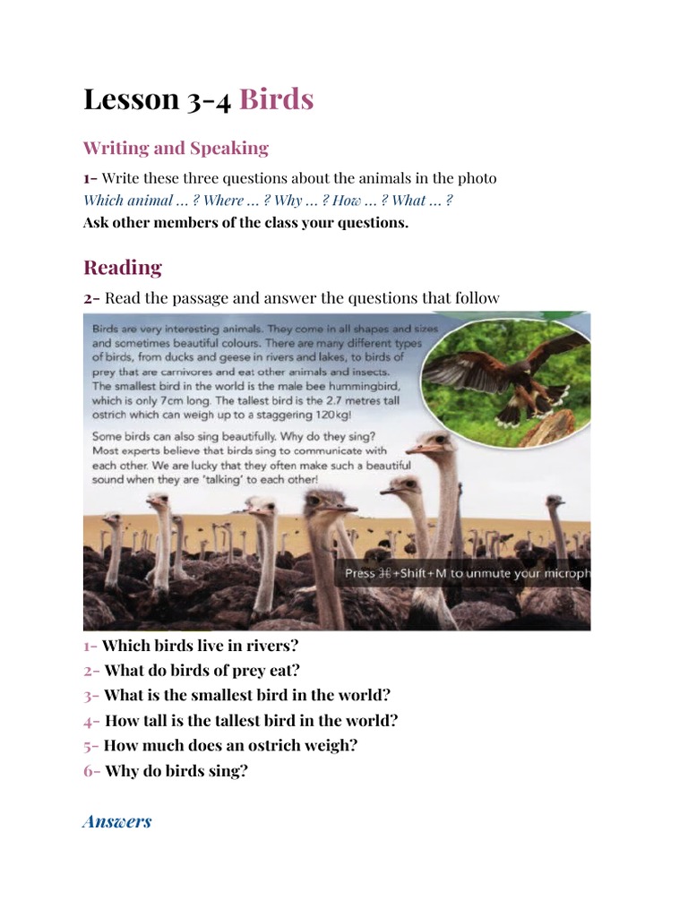 Lesson 3-4 Birds | PDF | Science & Mathematics