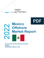 Mexico Offshore Market Report - 2022 June