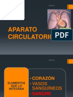 Ap Cardiovascular Corazon