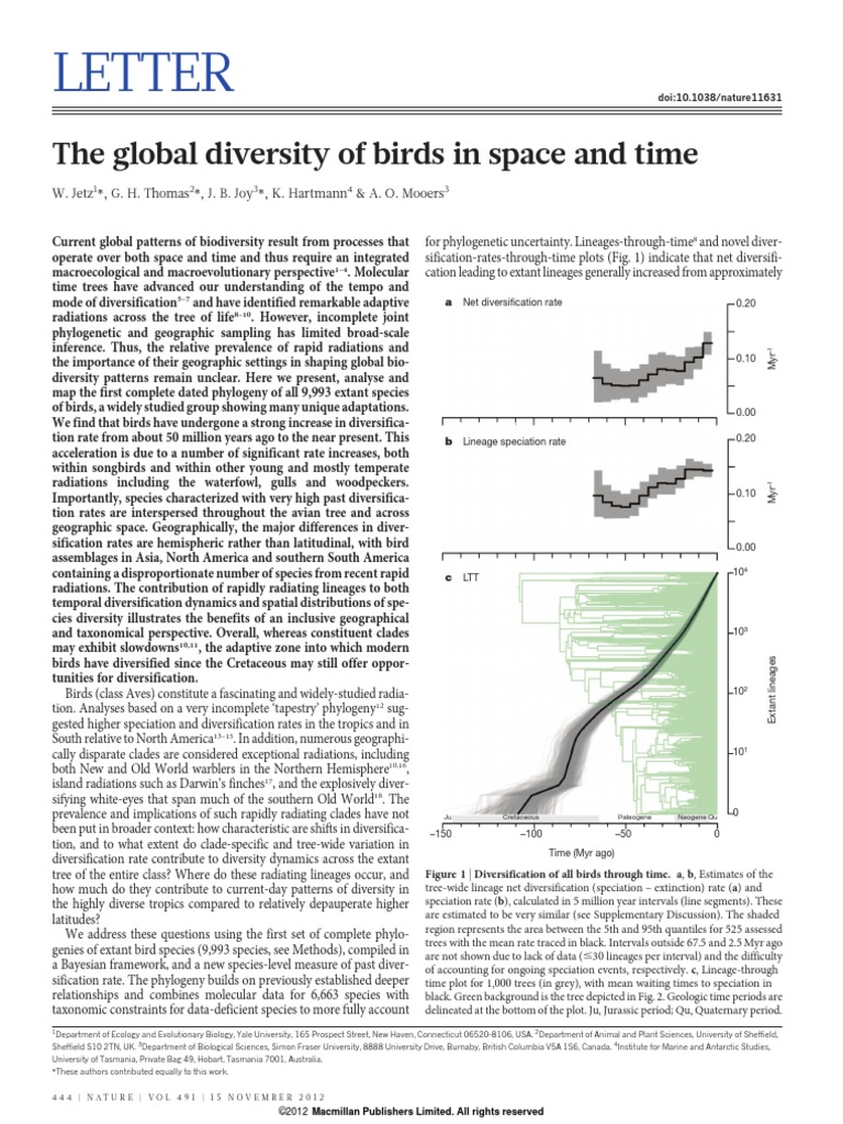 Global Bird Diversity Patterns | PDF | Biodiversity | Birds