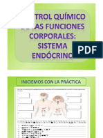 Sistema Endocrino 1