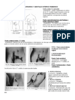Puntos Dolorosos en Vias Urinarias Y Genitales Internos Femeninos
