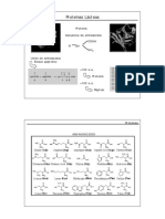 5 (1) - Características y Composición. Proteínas