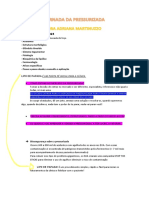 JORNADA DA PRESSURIZADA - DIA 02