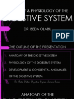 15 - Digestive System Anatomy and Physiology Series