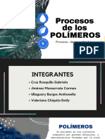 Proceso de Polímeros