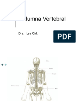 Siiiii - 04 - Columna Vertebral - Dra. Lya Cid - Mayo 2010