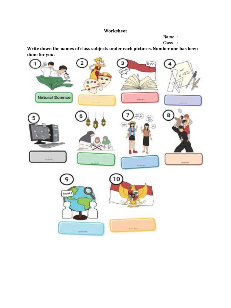 My School Activities Worksheet | PDF