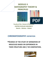 Chromatography Theory & Principles