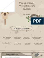 Macam Macam Aves Dimuseum Rahmat: Oleh: Kelompok 1