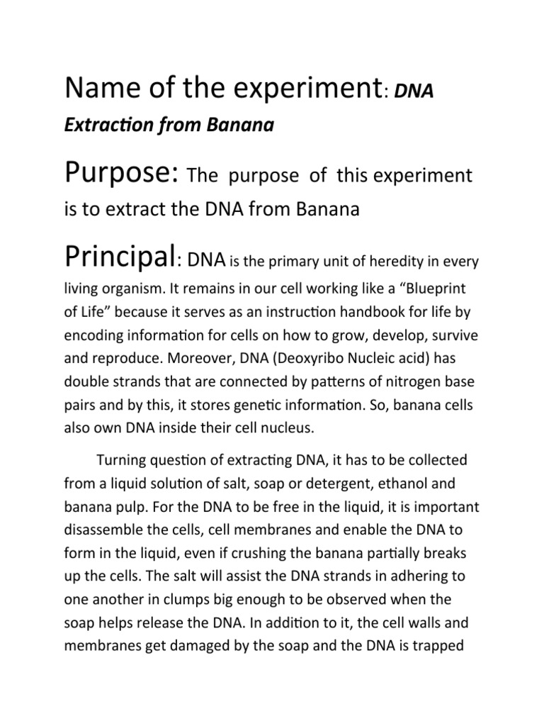 DNA Extraction From Banana PDF