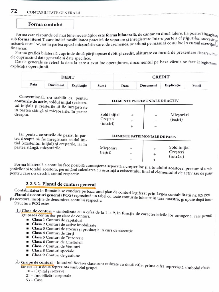 Planul General de Conturi Teorie | PDF