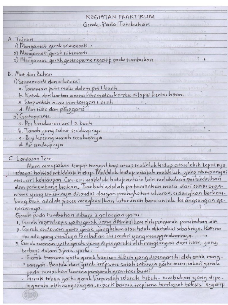 LAPORAN IPA PRAKTIKUM GERAK PADA TUMBUHAN | PDF